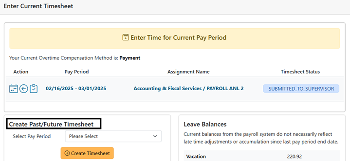Screenshot showing section for creating past and future timesheets. 