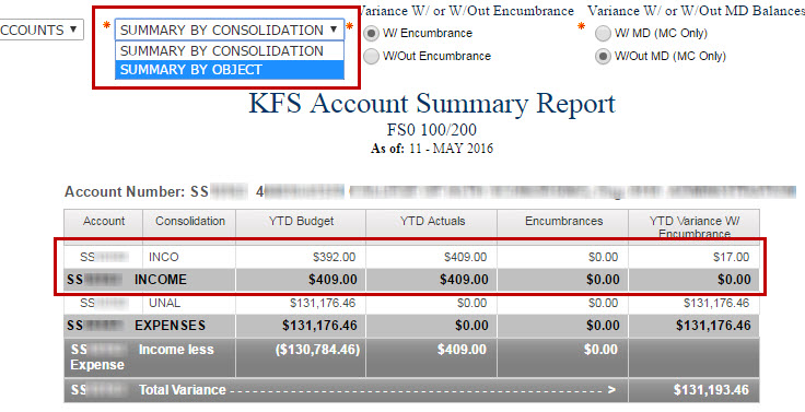 Account Summary Showing Income Variance